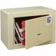 Caja fuerte BTV Mini Vault 17